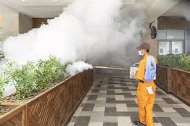 شركة مكافحة حشرات بجدة